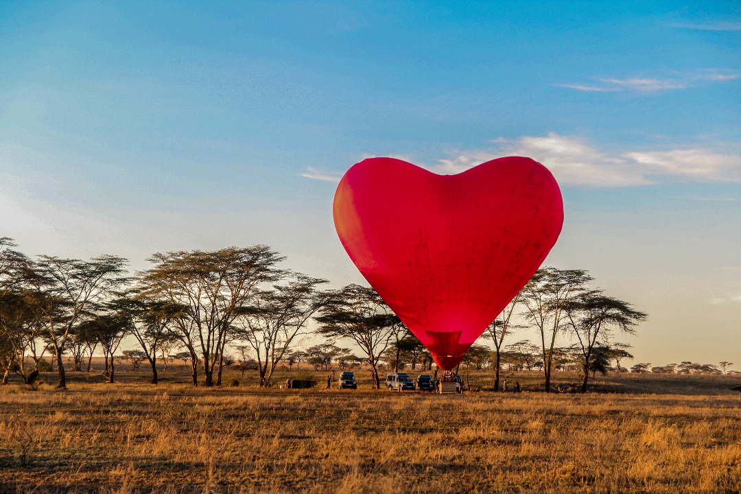 Experience a Hot Air Balloon Safari & Full-Day Serengeti game drive